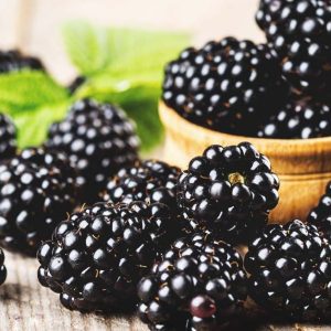 Blackberry Böğürtlen (1KG)