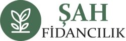 Şah Fidancılık
